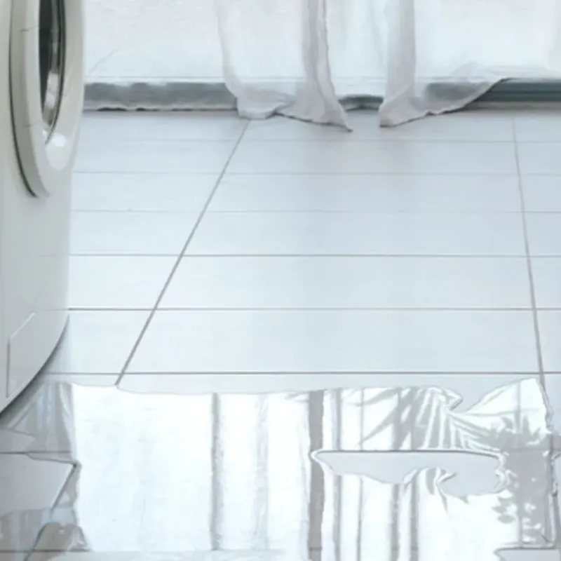 Appliance Leak Cleanup in Walsh County, ND