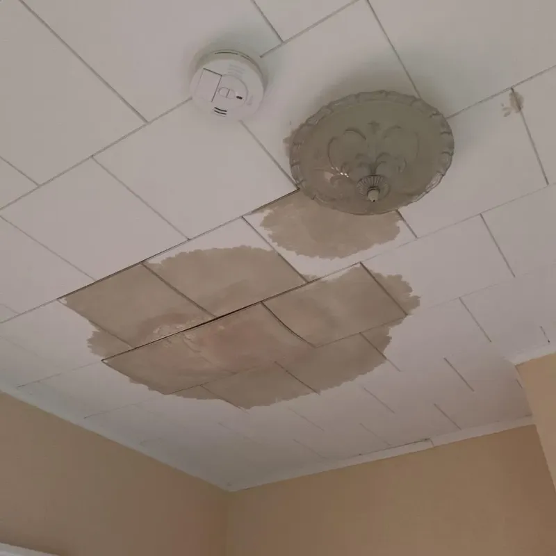 Ceiling Water Damage Repair in Walsh County, ND