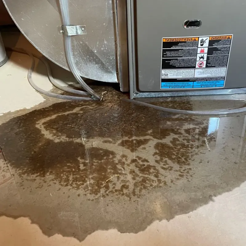 Pipe Burst and Leak Restoration in Walsh County, ND