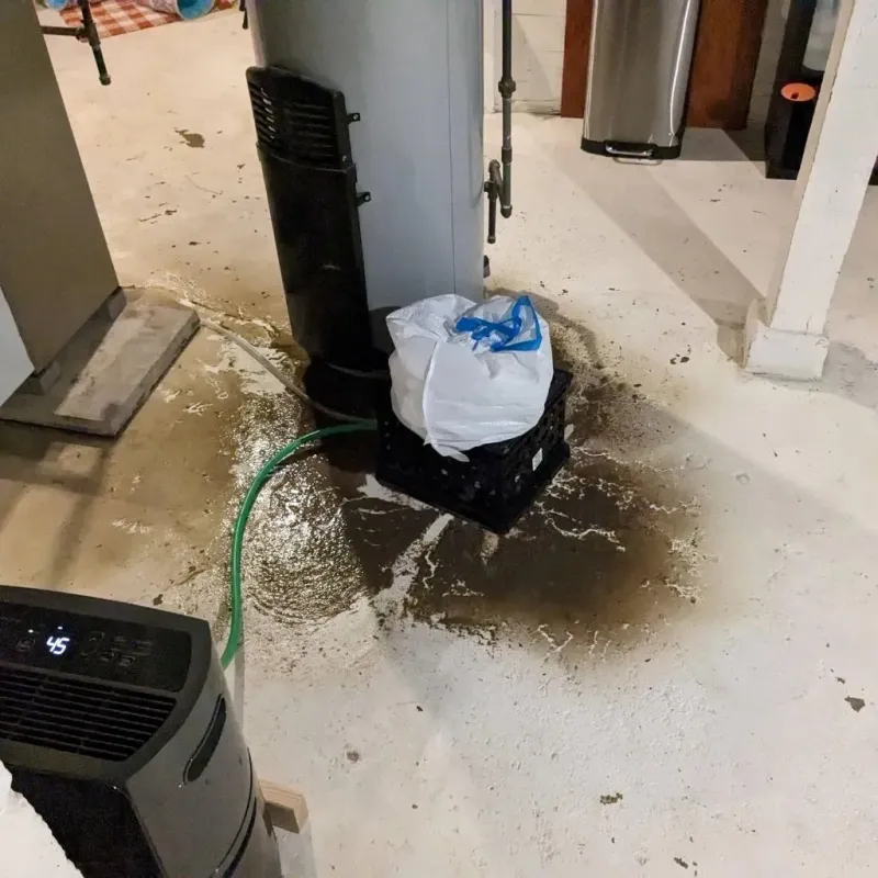 Sewage Backup Cleanup Service in Walsh County, ND